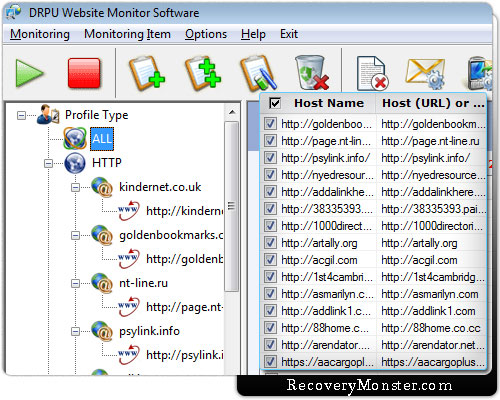 Website Monitoring