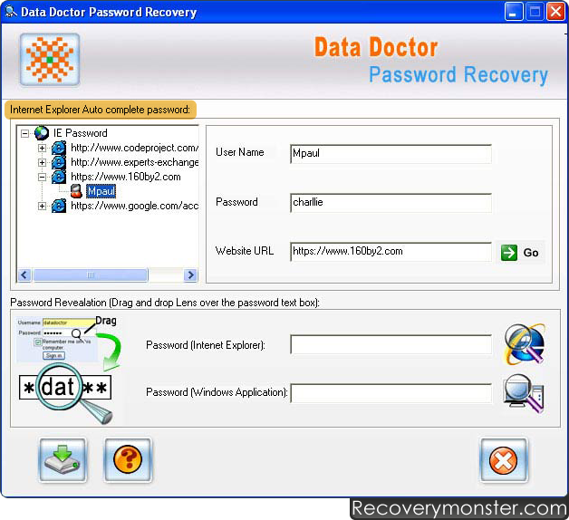 Internet Explorer Password Recovery Software