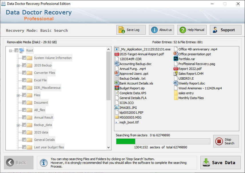 Professional Data Recovery